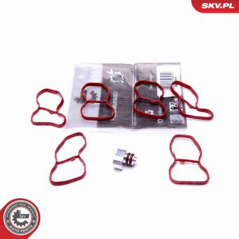 Kit de réparation, module de tube d'aspiration ESEN SKV 49SKV516