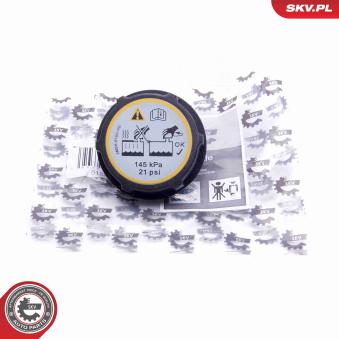 Bouchon, réservoir de liquide de refroidissement ESEN SKV 61SKV005