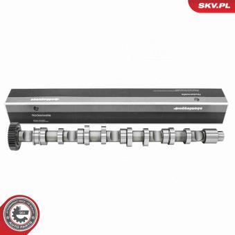 Arbre à came ESEN SKV