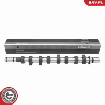 Arbre à came ESEN SKV