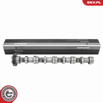 Arbre à came ESEN SKV