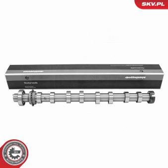 Arbre à came ESEN SKV