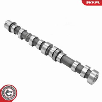 Arbre à came ESEN SKV