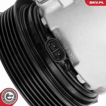 Compresseur, climatisation ESEN SKV