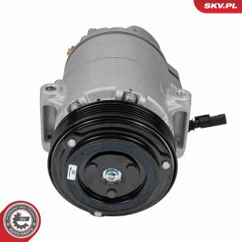 Compresseur, climatisation ESEN SKV