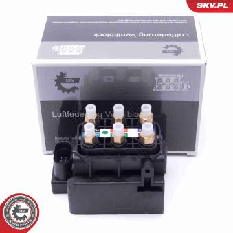 Valve, système d'air comprimé ESEN SKV