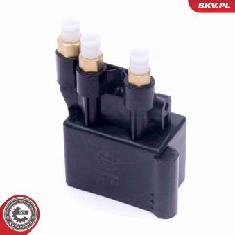 Valve, système d'air comprimé ESEN SKV