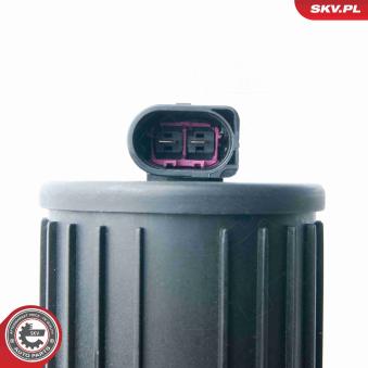 Pompe d'injection d'air secondaire ESEN SKV 96SKV200