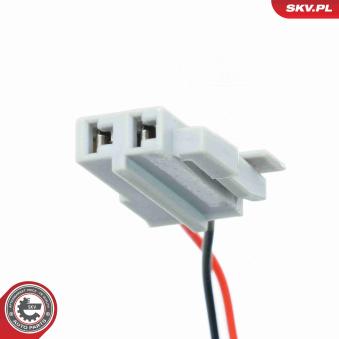 Ressort tournant, Airbag ESEN SKV