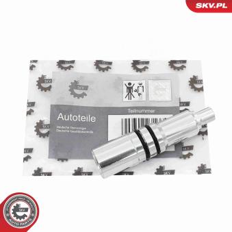 Manchon, porte-injecteur ESEN SKV 97SKV208