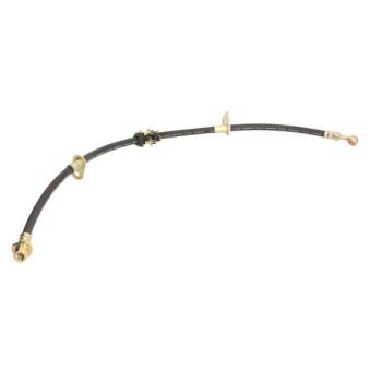 Flexible de frein avant droit ABE