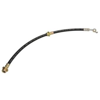Flexible de frein arrière gauche ABE
