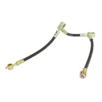 Flexible de frein avant gauche ABE