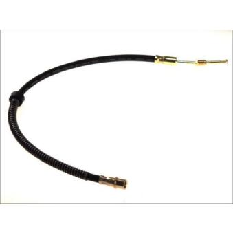 Flexible de frein arrière droit ABE C86157ABE