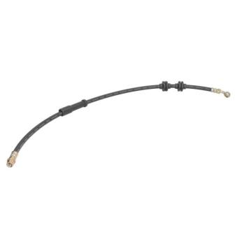 Flexible de frein avant ABE