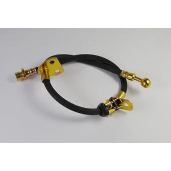 Flexible de frein avant droit ABE