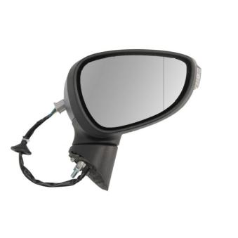 Rétroviseur extérieur BLIC 5402-04-0304596P