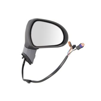 Rétroviseur extérieur BLIC 5402-08-2002074P