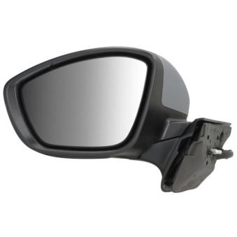 Rétroviseur extérieur BLIC