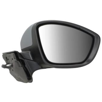 Rétroviseur extérieur BLIC