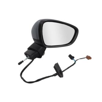 Rétroviseur extérieur BLIC 5402-21-039364P