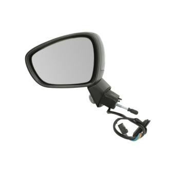 Rétroviseur extérieur BLIC 5402-21-039365P