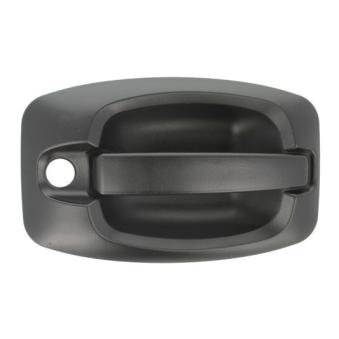 Poignée extérieure de porte avant gauche BLIC 6010-07-038401P