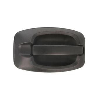 Poignée extérieure de porte avant droit BLIC 6010-07-038402P