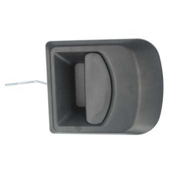 Poignée extérieure de porte avant gauche BLIC 6010-30-002401P