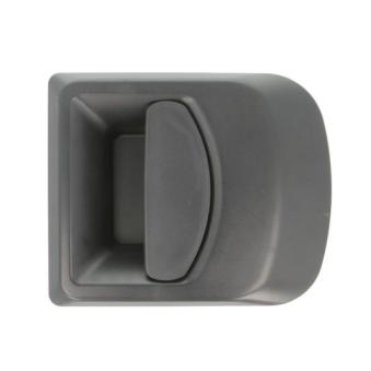 Poignée extérieure de porte avant droit BLIC 6010-30-002402P