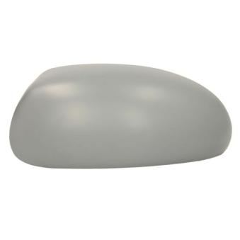 Boitier, rétroviseur extérieur BLIC