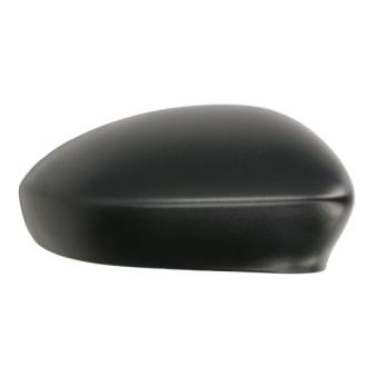 Boitier, rétroviseur extérieur BLIC