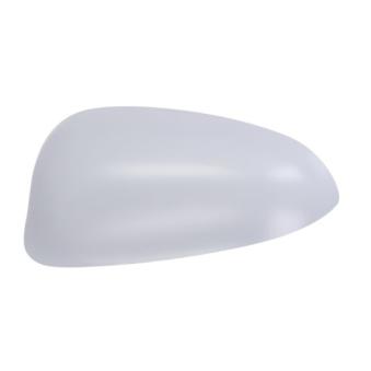 Boitier, rétroviseur extérieur BLIC