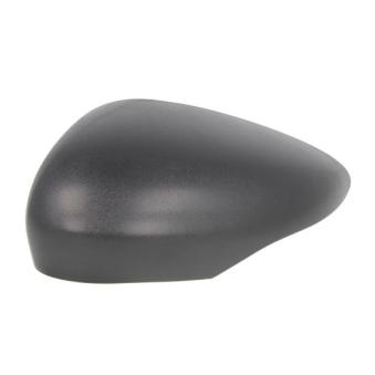 Boitier, rétroviseur extérieur BLIC