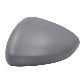 Revêtement, rétroviseur extérieur BLIC 6103-07-0354310P