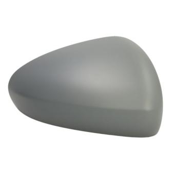 Revêtement, rétroviseur extérieur BLIC 6103-07-0354311P