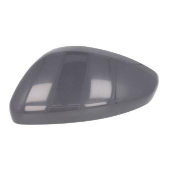 Boitier, rétroviseur extérieur BLIC 6103-08-2002061P