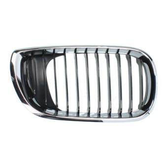 Grille de radiateur BLIC