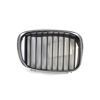 Grille de radiateur avant droit BLIC 6502-07-0065992P