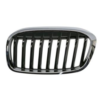 Grille de radiateur avant gauche BLIC 6502-07-0071991P
