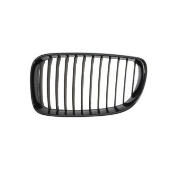 Grille de radiateur avant gauche BLIC 6502-07-0085999P