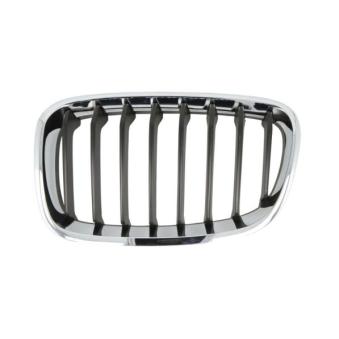 Grille de radiateur avant gauche BLIC 6502-07-0086995P