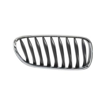 Grille de radiateur avant droit BLIC 6502-07-0089992P