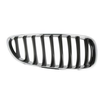 Grille de radiateur avant droit BLIC 6502-07-0089996P