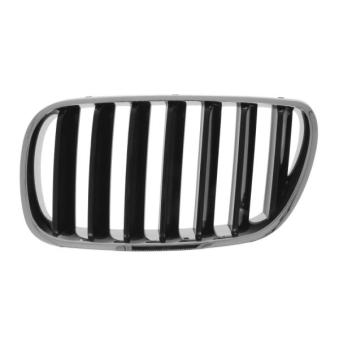 Grille de radiateur avant gauche BLIC 6502-07-00939910P