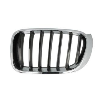 Grille de radiateur avant gauche BLIC 6502-07-00939933P