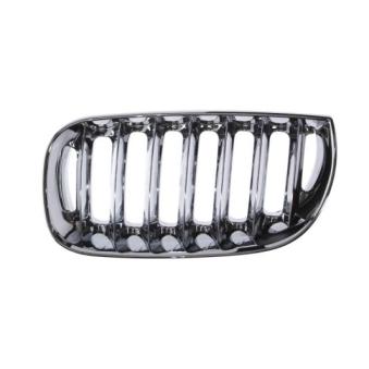 Grille de radiateur BLIC 6502-07-0093993P
