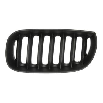 Grille de radiateur BLIC 6502-07-0093995P