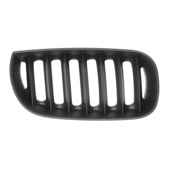 Grille de radiateur BLIC 6502-07-0093996P