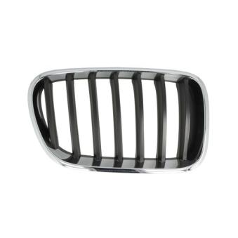 Grille de radiateur avant droit BLIC 6502-07-00939980P